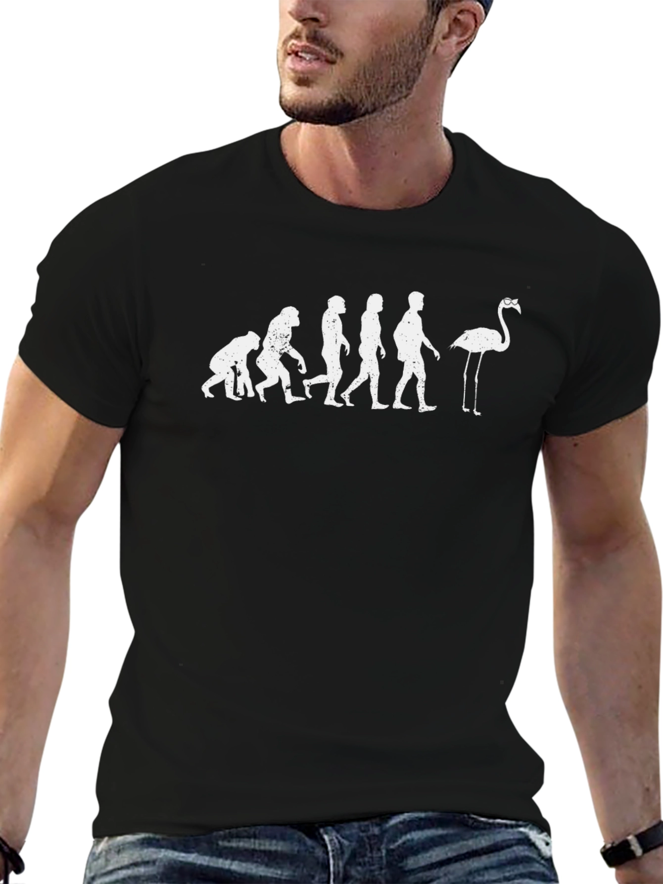 Evolution of Man to Flamingo Black T-Shirt